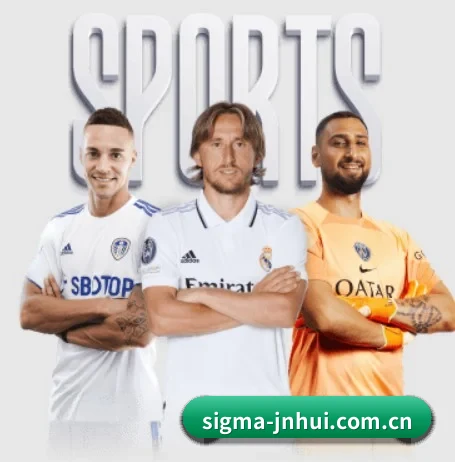 sigma-jnhui.com.cn的方向 - 长期内容价值积累