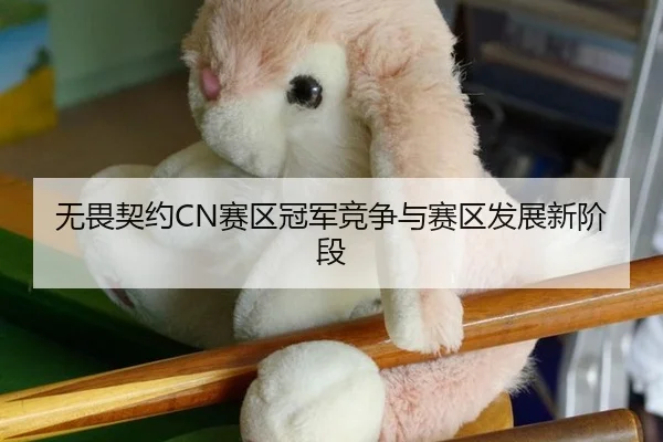 无畏契约CN赛区冠军竞争与赛区发展新阶段